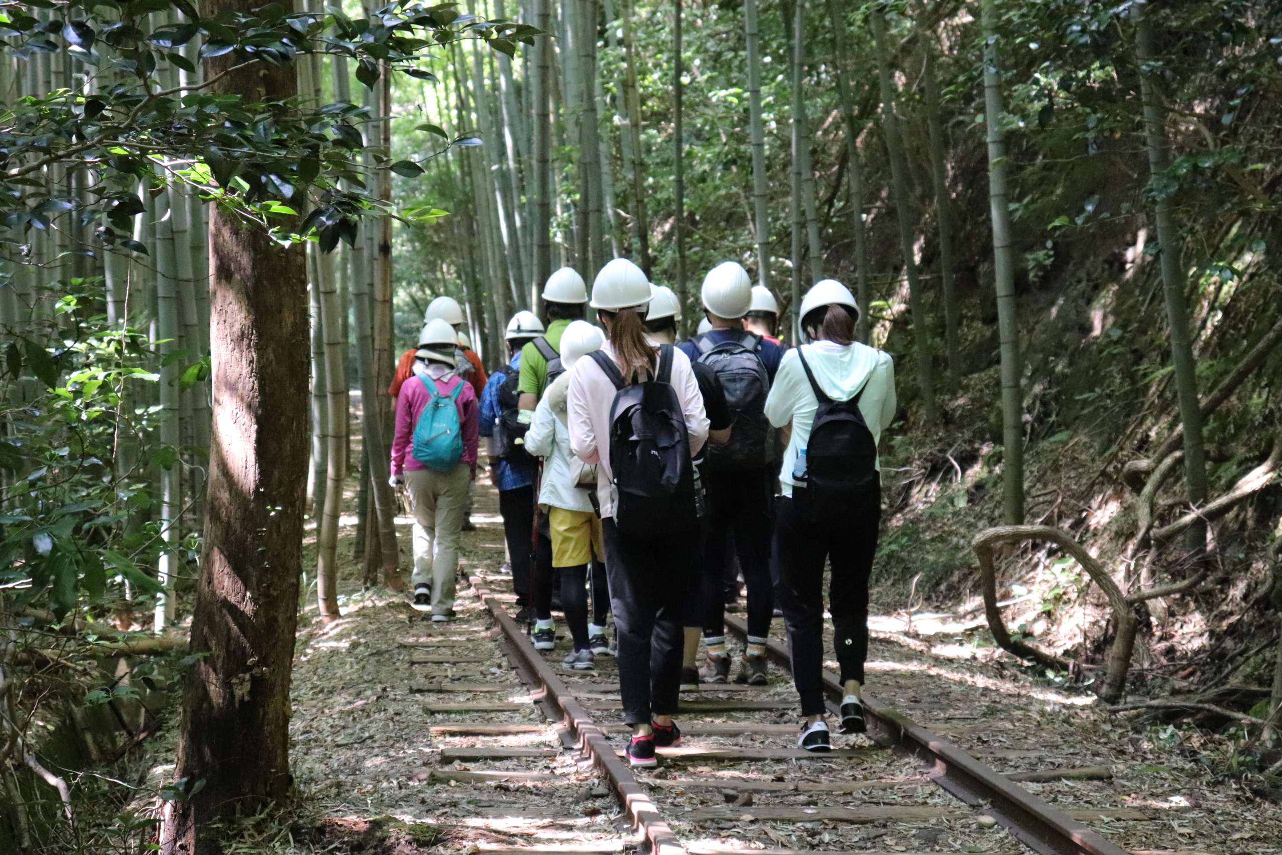 旧国鉄倉吉線廃線跡ウォーキングオープンデー22 秋の参加者募集中 山陰在住者限定 倉吉観光情報