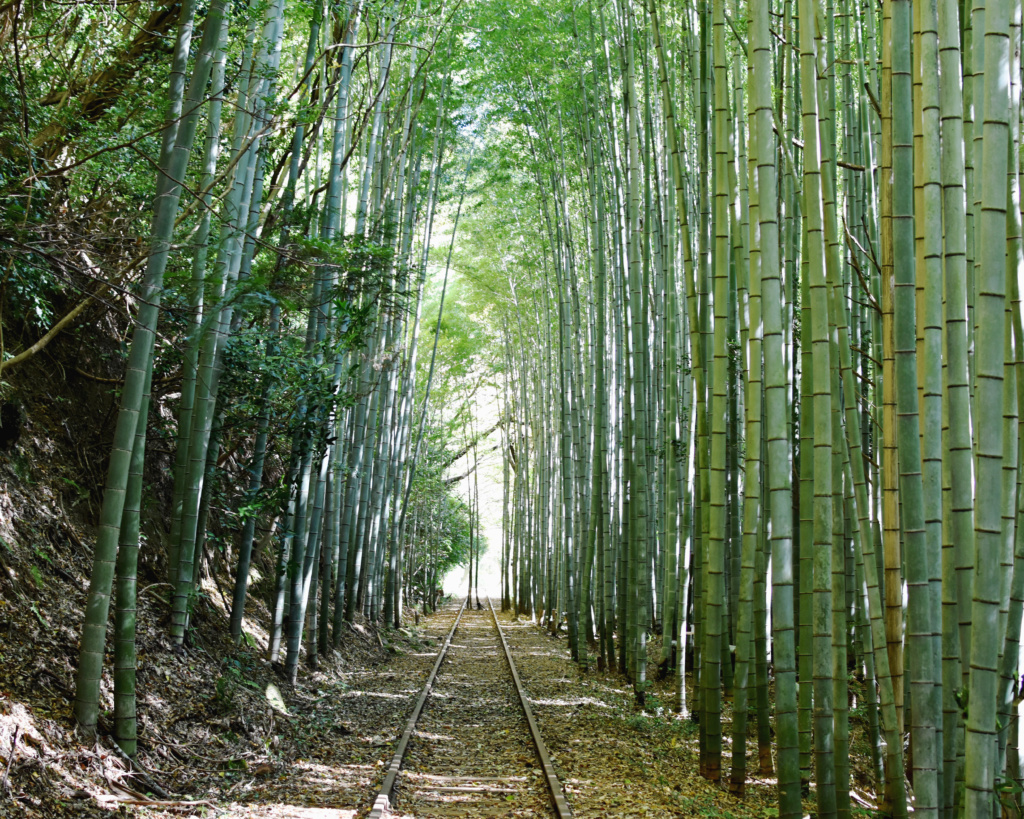 旧国鉄倉吉線廃線跡 倉吉観光情報